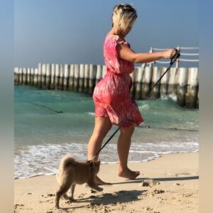 Express Pink and Tan Patterned Dress